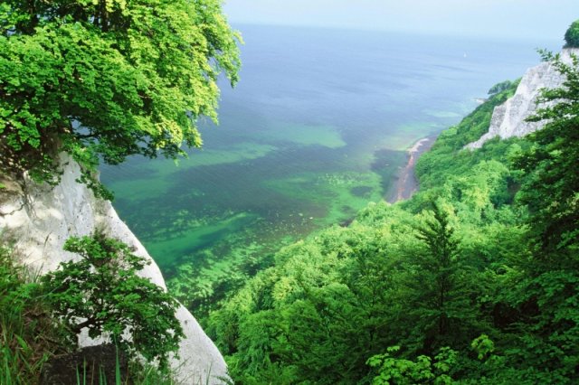 Blick vom Knigsstuhl Sommer